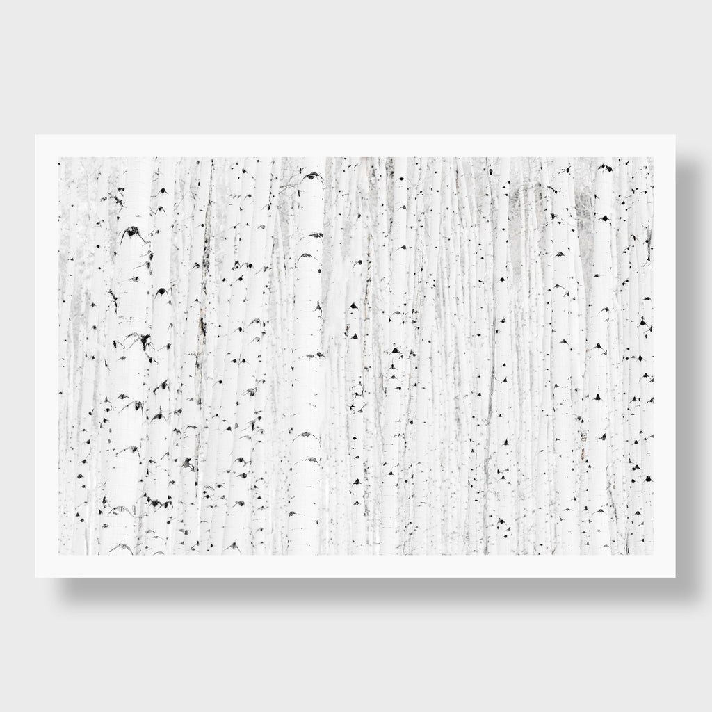 Aspen Grove, Aspen CO | Kate Holstein