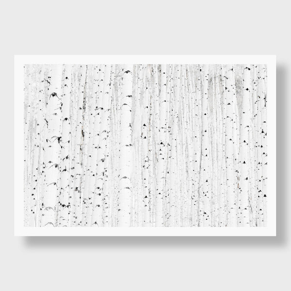 Aspen Grove, Aspen CO | Kate Holstein