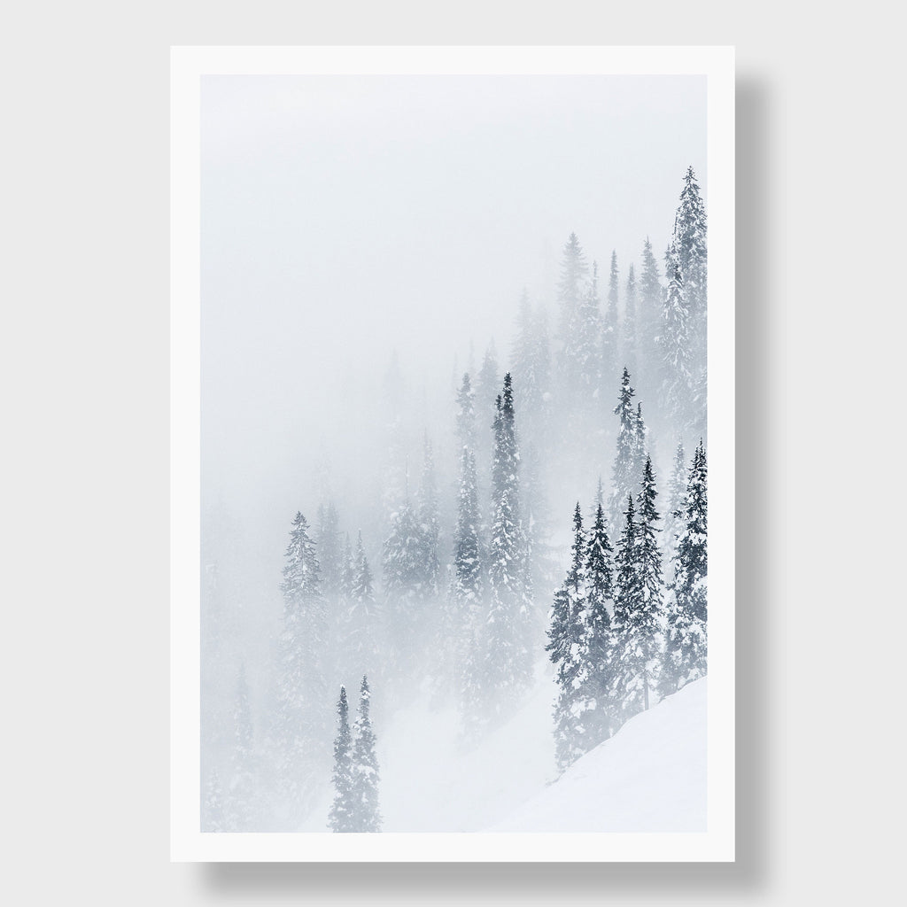 Misty Pines, British Columbia | Kate Holstein