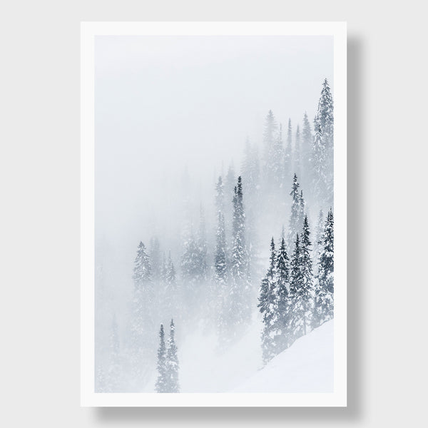 Misty Pines, British Columbia | Kate Holstein