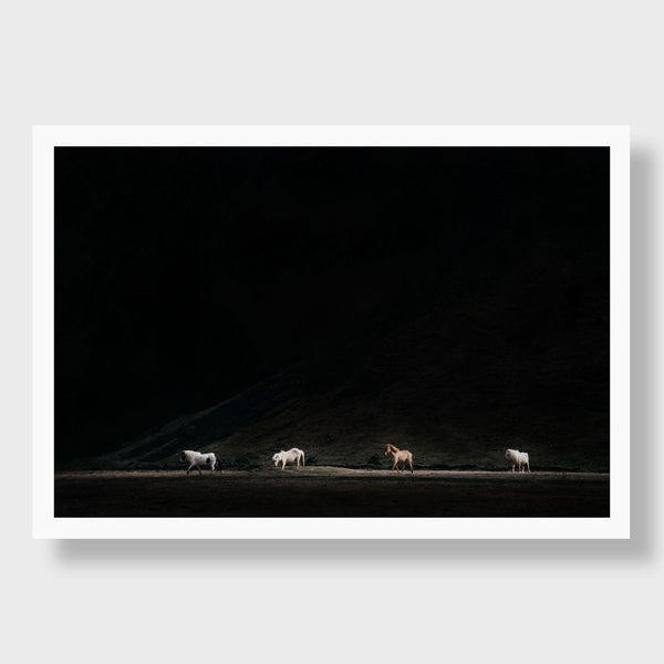 Wild Horses, Iceland | Kate Holstein