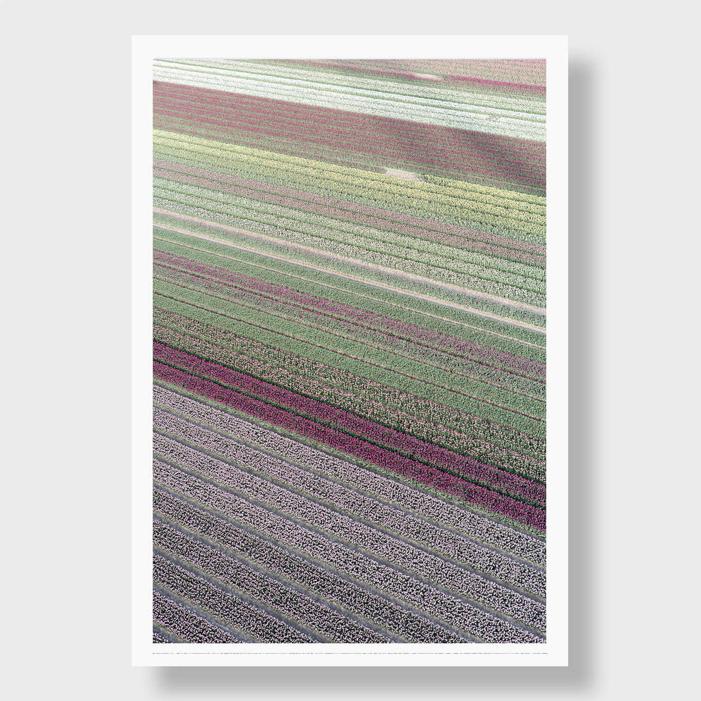 Shades of Purple - Flora Collection - Print by Kate Holstein