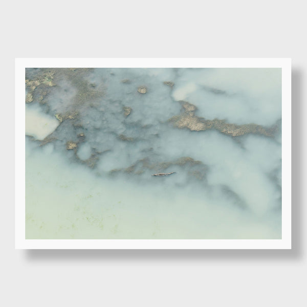 Crocodile, Panama | Kate Holstein