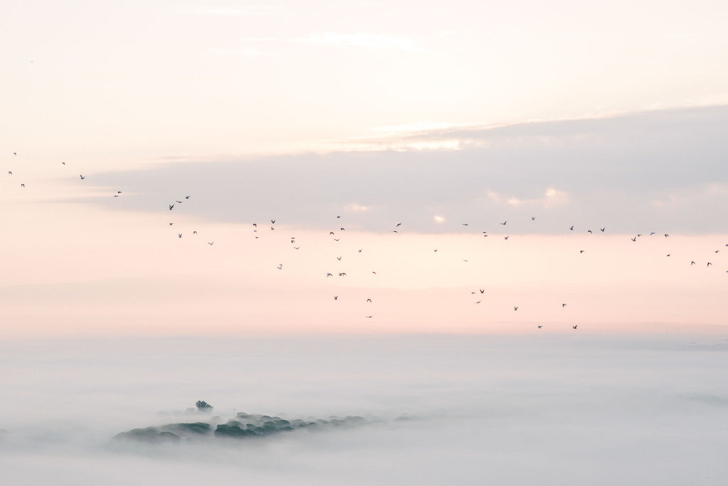 Andalusia Sunrise, Spain | Kate Holstein