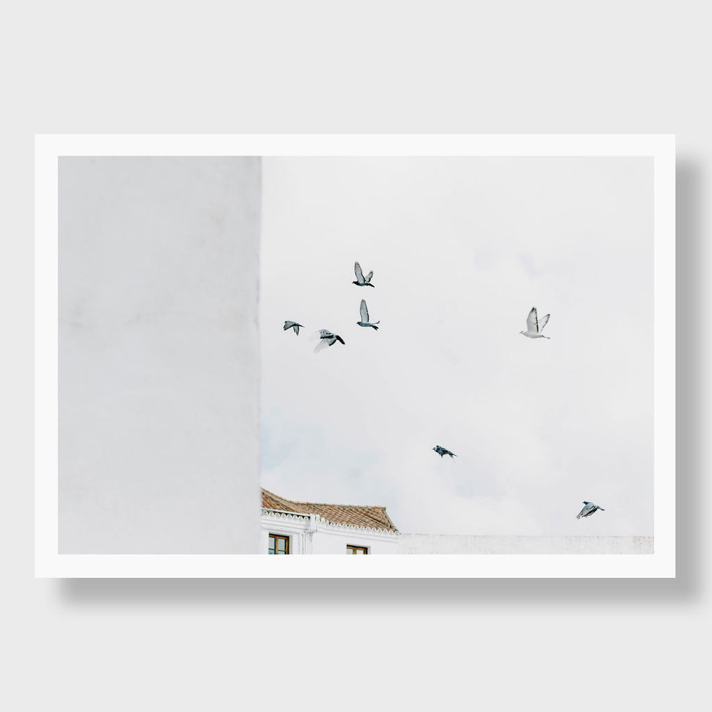 Andalusia Birds, Spain | Kate Holstein