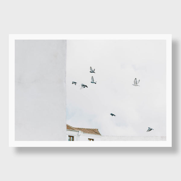 Andalusia Birds, Spain | Kate Holstein