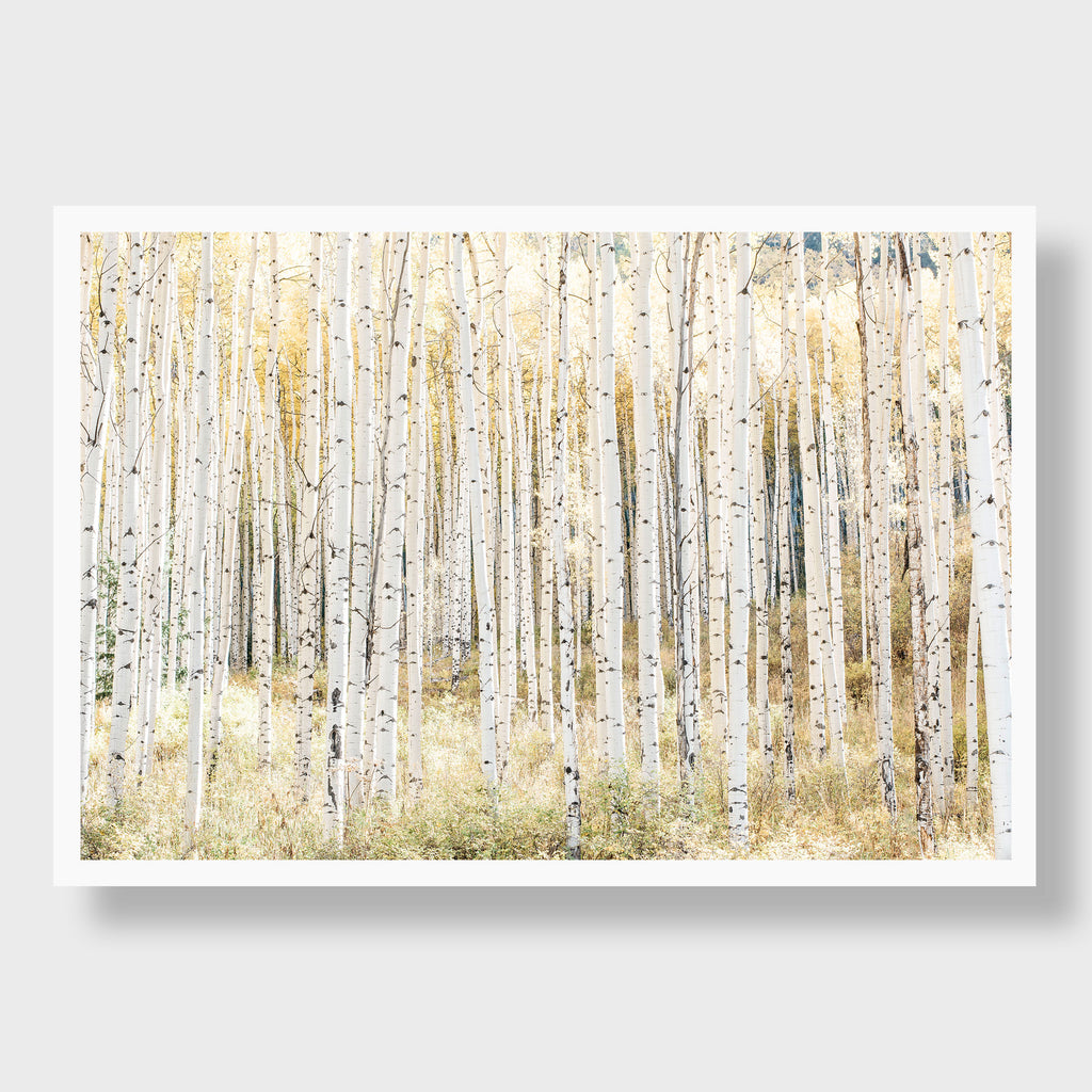 Golden Grove, Aspen
