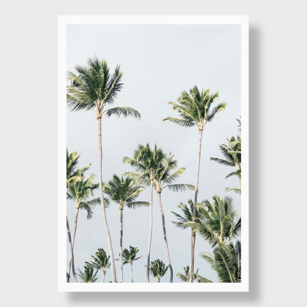 Palms, Maui - Kate Holstein | Print Shop
