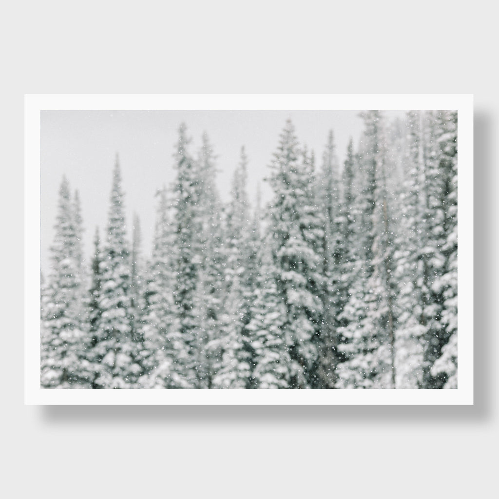 Snow Globe, Aspen CO | Kate Holstein