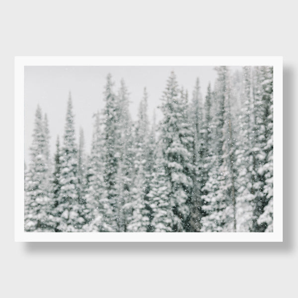 Snow Globe, Aspen CO | Kate Holstein